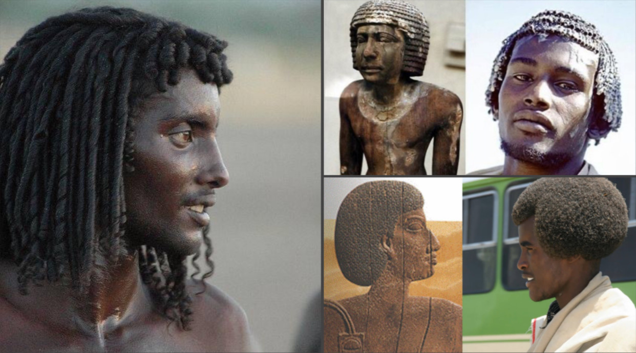 Beja people are one of the living descendants of Ancient Egypt | African  History Books