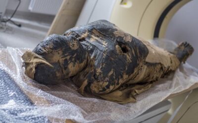 First pregnant Egyptian mummy surprises researchers